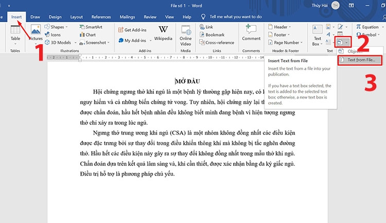 4+ cách gộp file Word siêu nhanh, đơn giản và dễ thực hiện